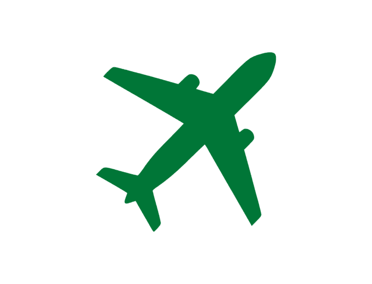 Plane Icon